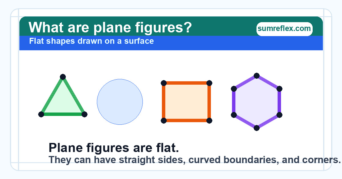Flat plane figures with examples of straight and curved shapes