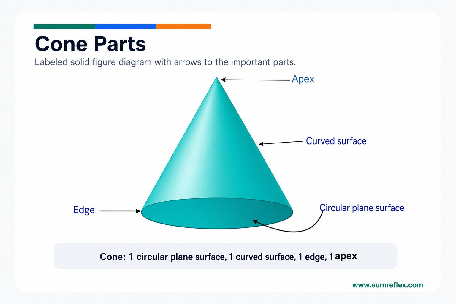 Labeled cone diagram showing apex, curved surface, circular edge, and circular base