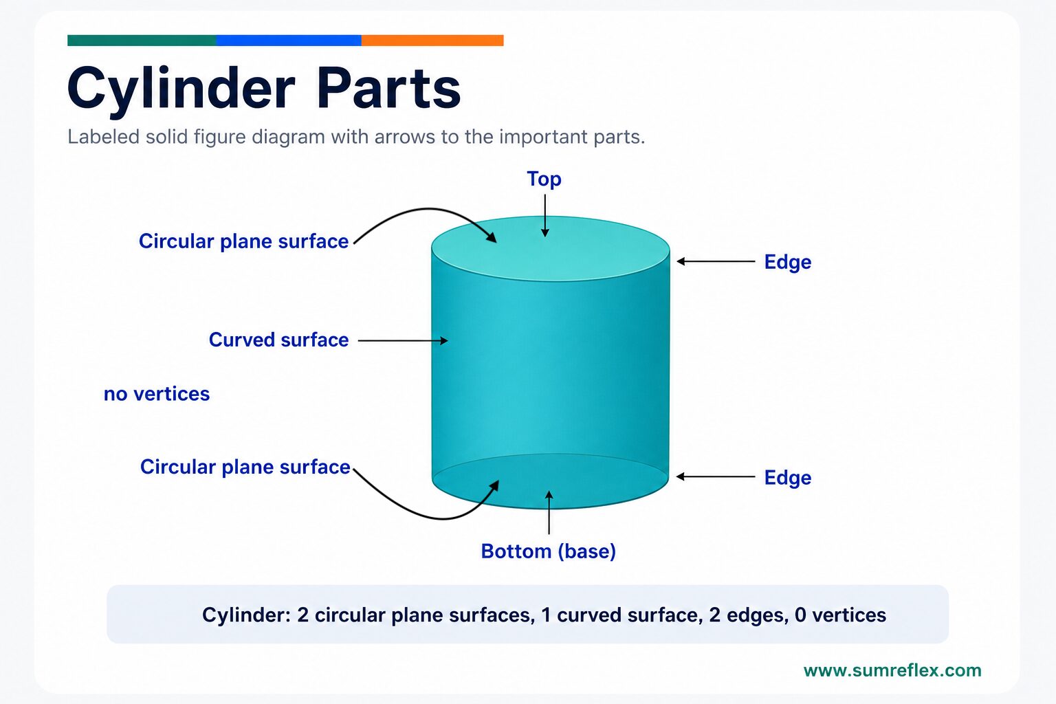Labeled cylinder diagram showing circular bases, curved surface, curved edges, and height